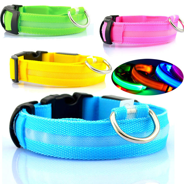 LED Dog Collars